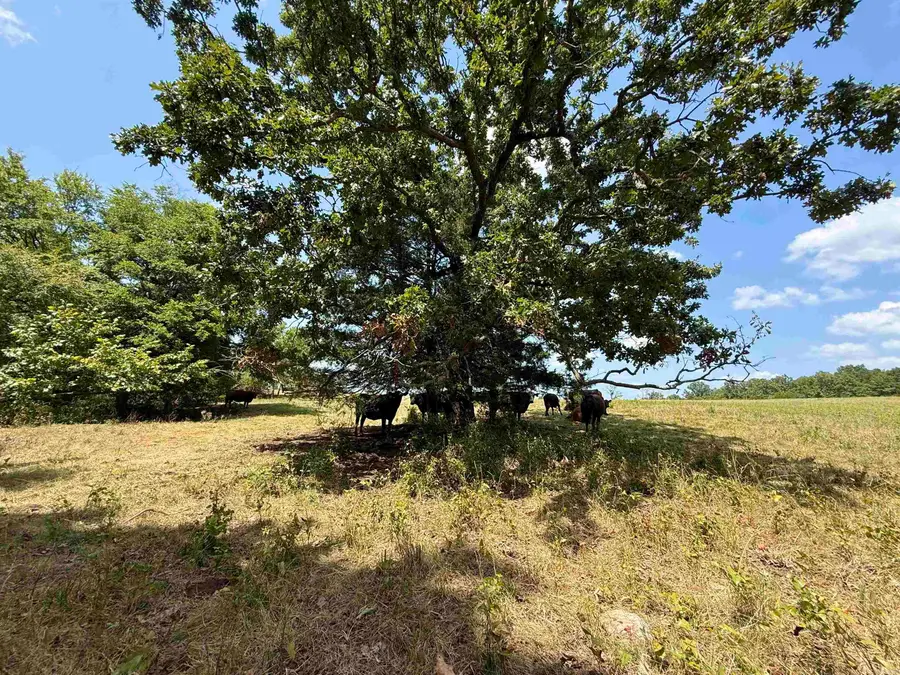 0 Corinth Rd Road, Ash Flat, AR 72513 - #2