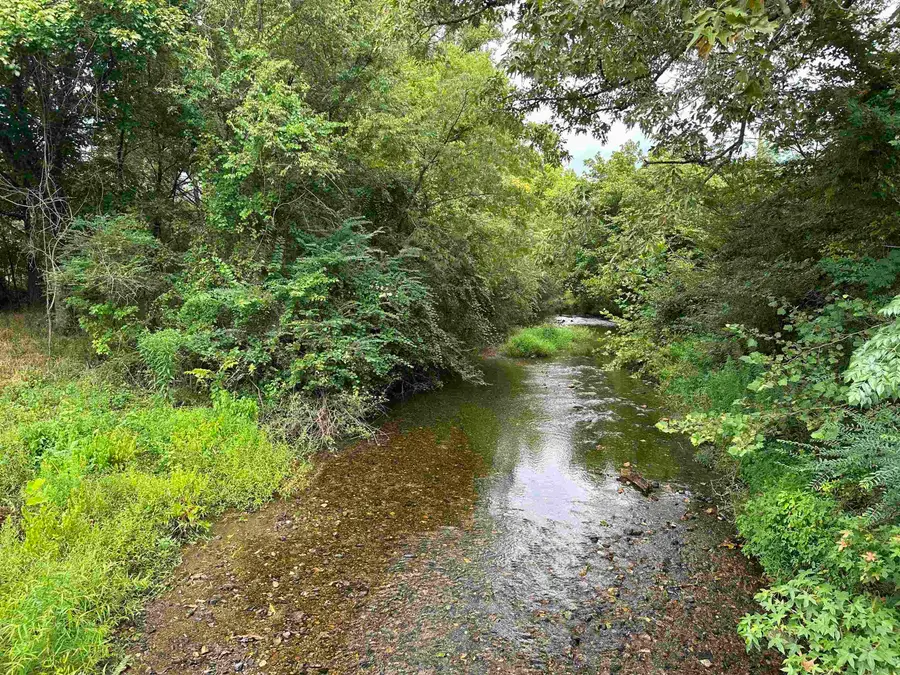Lot 39 Copenhaver Trl Trail, Fountain Lake, AR 71901 - #2