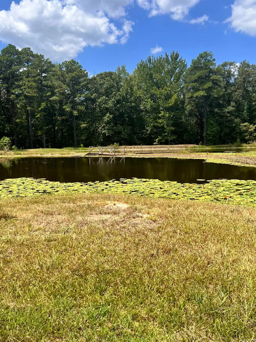 8219 Us Hwy 63 Highway, Pine Bluff, AR 71603 - #2