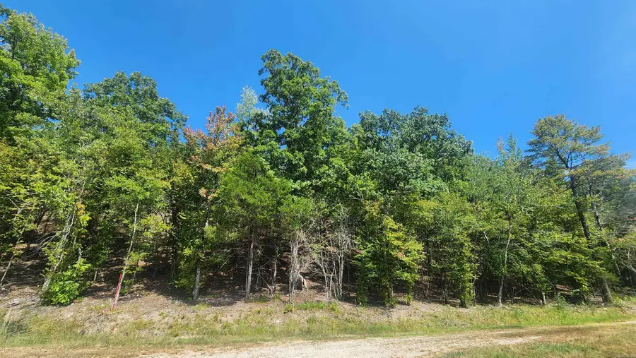 Tract B Lot 15N Reva's Way, Story, AR 71970 - #3