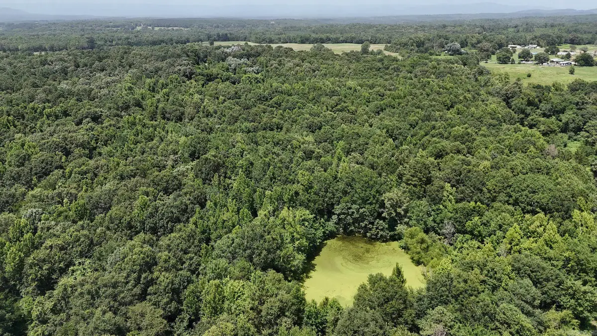 TBD Polk Road 283, Hatfield, AR 71945 - #1