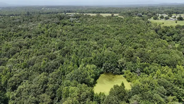 TBD Polk Road 283, Hatfield, AR 71945