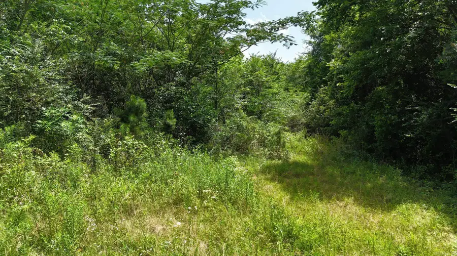 TBD Polk Road 283, Hatfield, AR 71945 - #3