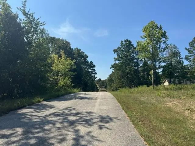 TBD Morgan Trl, Salem, AR 72576 - #1