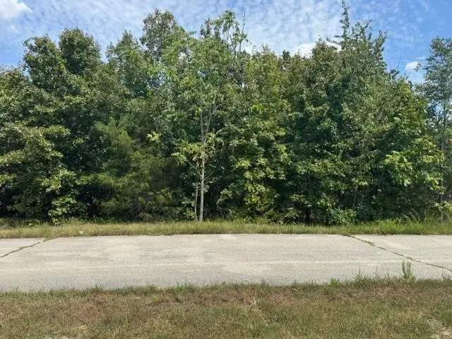 TBD Morgan Trl, Salem, AR 72576 - #3