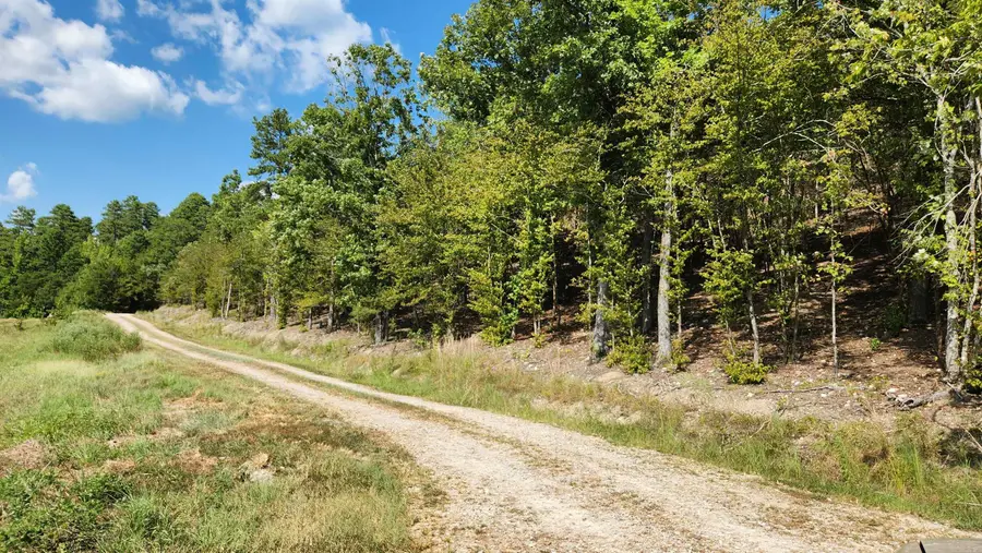 Lot 15N Tract A Reva's Way, Story, AR 71970 - #2