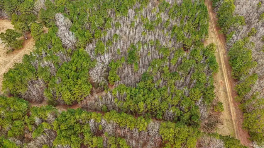 Lot 48 Highway 79 S, Pine Bluff, AR 71603 - #3