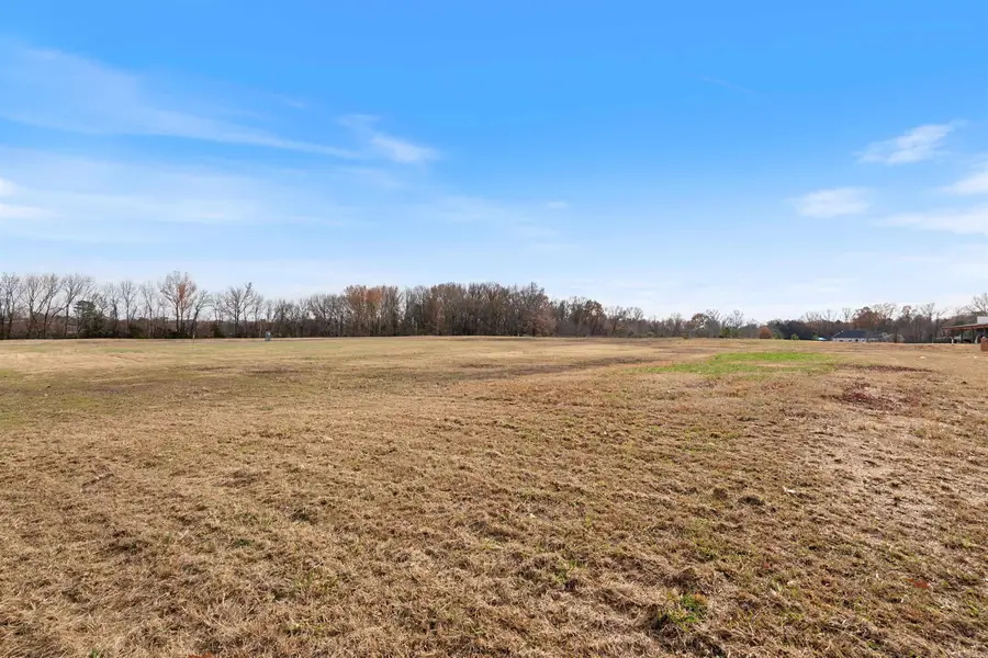 3955 College Avenue, Conway, AR 72034 - #3