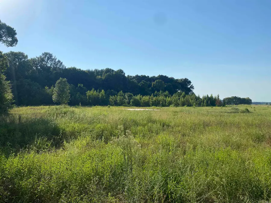 13 Mcguiness Road, Trumann, AR 72472 - #2
