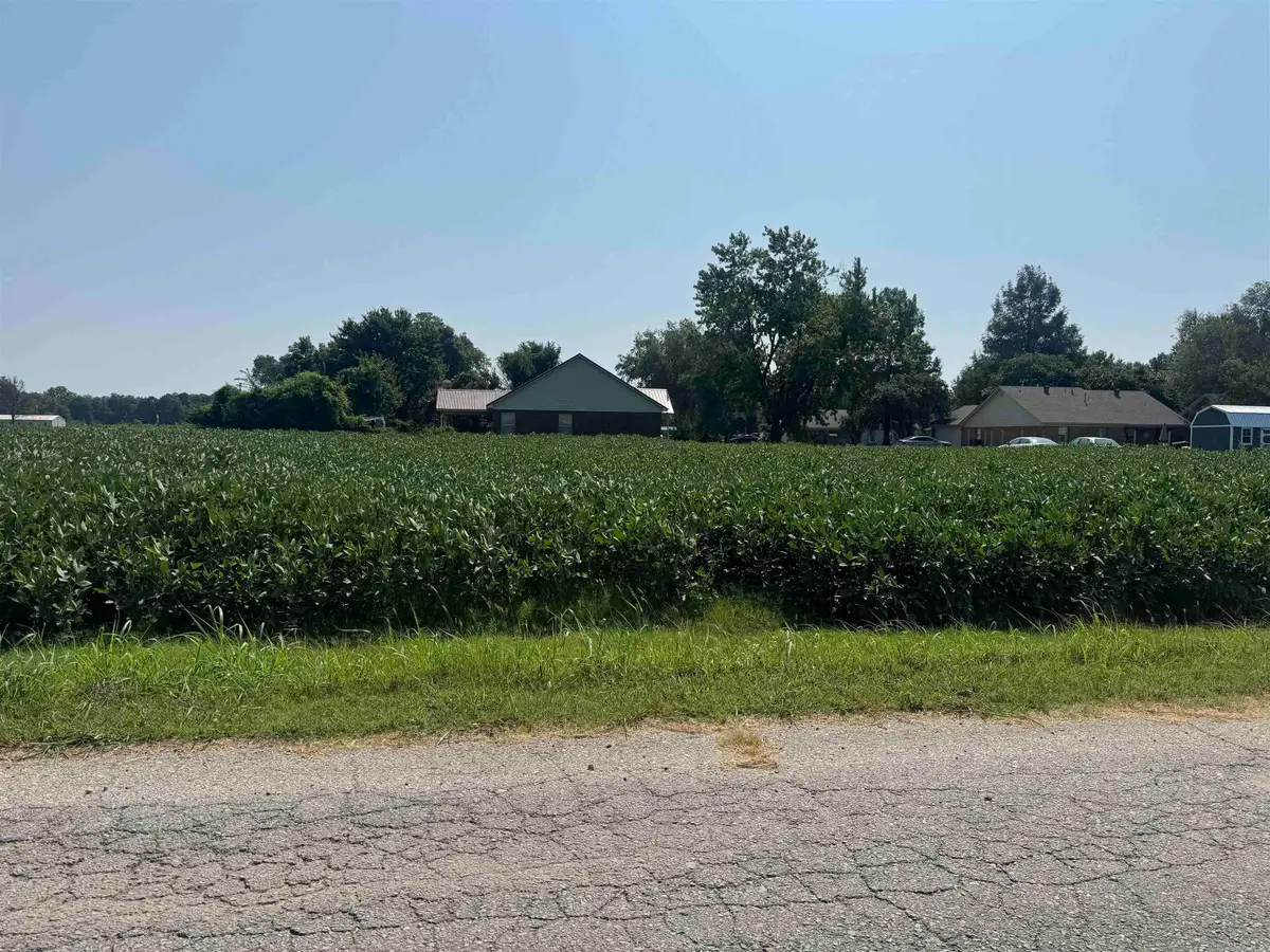 3 Debra Drive, Blytheville, AR 72315 - #1