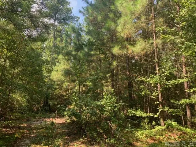 Lot 4 Oklahoma Inn Road, Benton, AR 72015 - #1