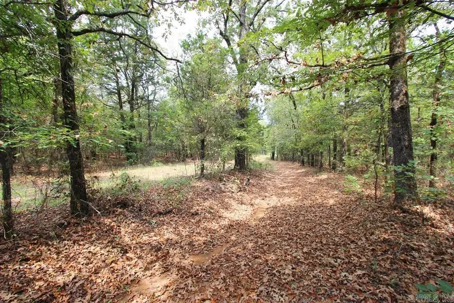 47 Daugherty Hill Road, Conway, AR 72032 - #3
