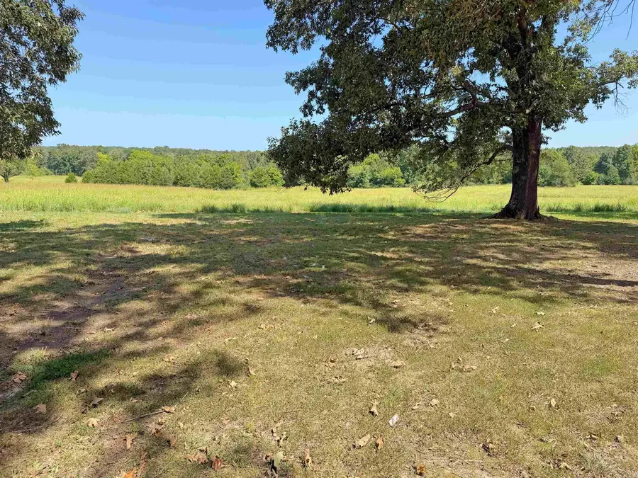 101 Summer Meadows, Mountain View, AR 72560 - #3