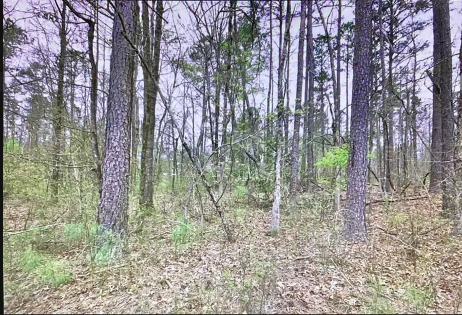TBD Deer Ridge, Bonnerdale, AR 71933 - #2