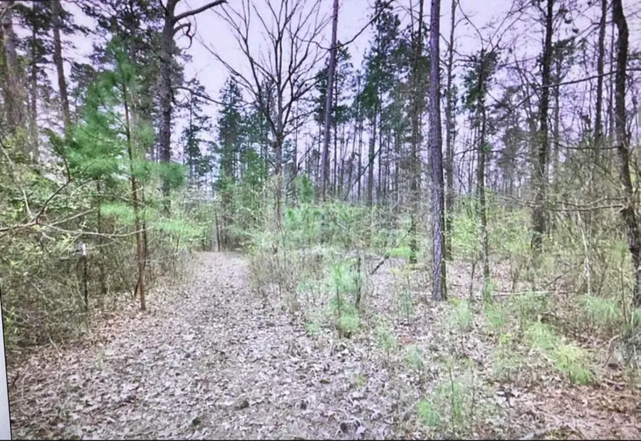 TBD Deer Ridge, Bonnerdale, AR 71933 - #3