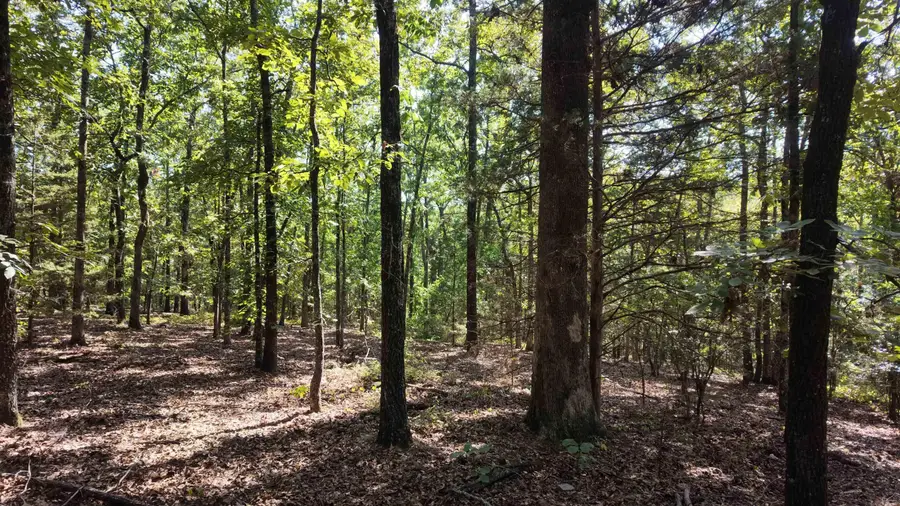 0 Bennett Road, Bee Branch, AR 72013 - #3