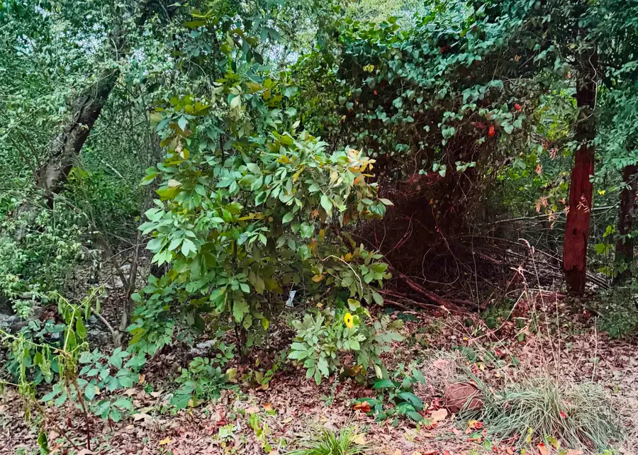 Lot 25 Lee Summit Dr., Little Rock, AR 72202 - #2