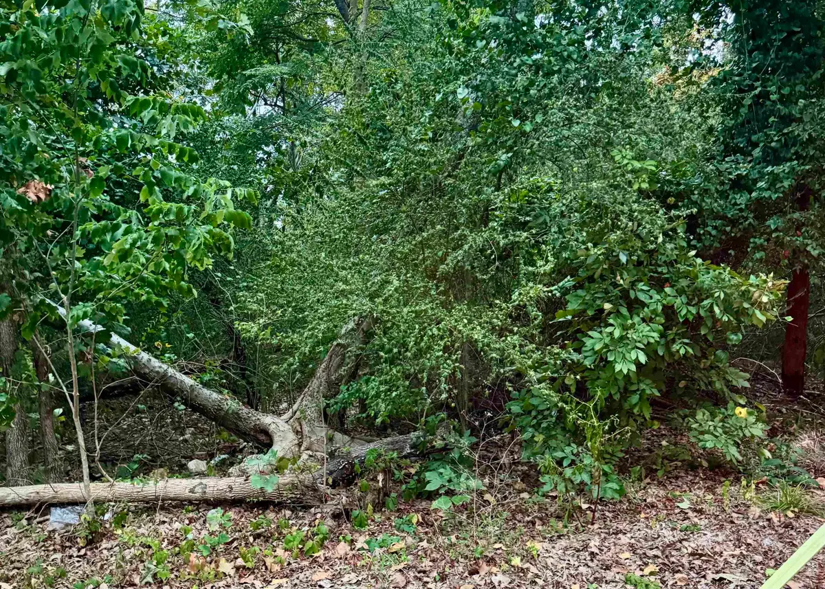 Lot 24 Lee Summit Dr., Little Rock, AR 72202 - #1
