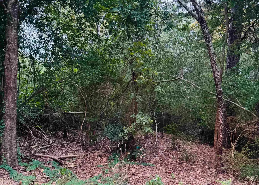 Lot 23 Lee Summit Dr., Little Rock, AR 72202 - #2
