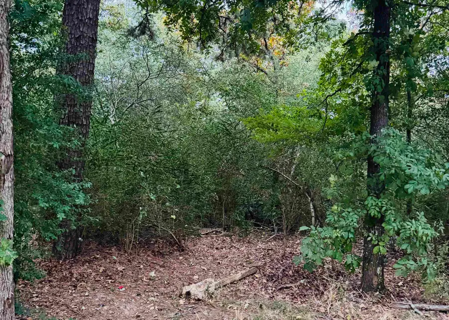 Lot 23 Lee Summit Dr., Little Rock, AR 72202 - #3