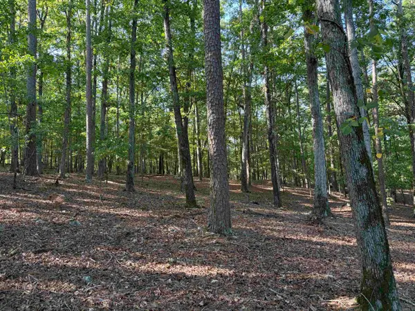12 Southridge Drive, Mount Ida, AR 71957