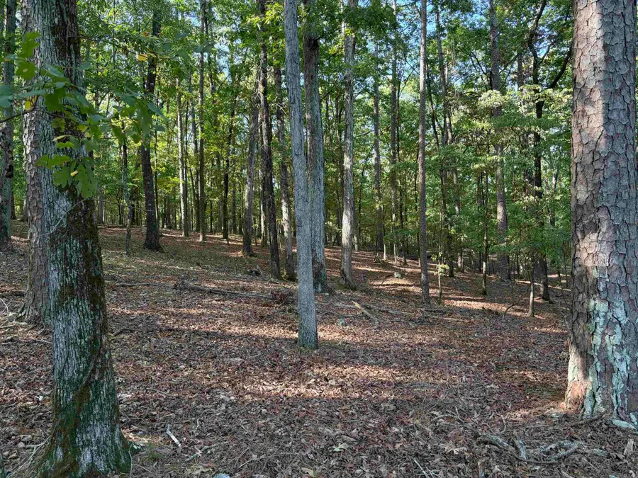 12 Southridge Drive, Mount Ida, AR 71957 - #2