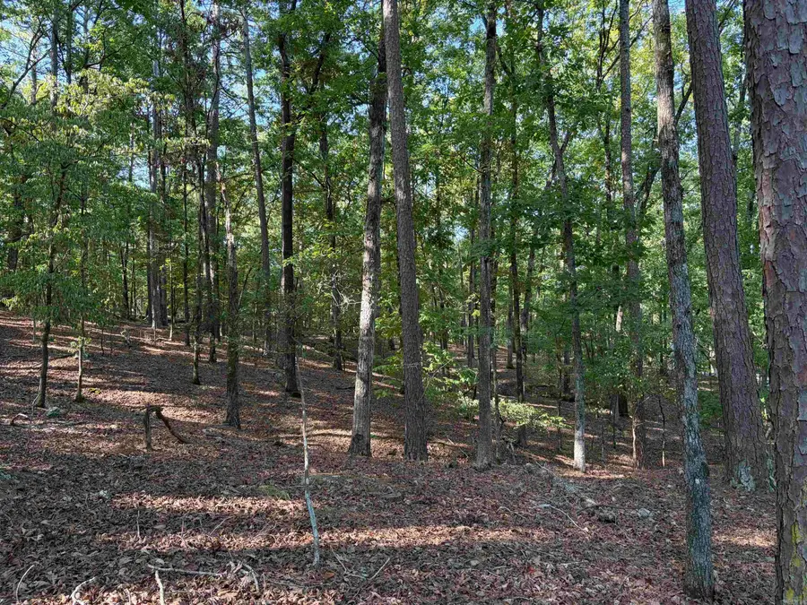 12 Southridge Drive, Mount Ida, AR 71957 - #3