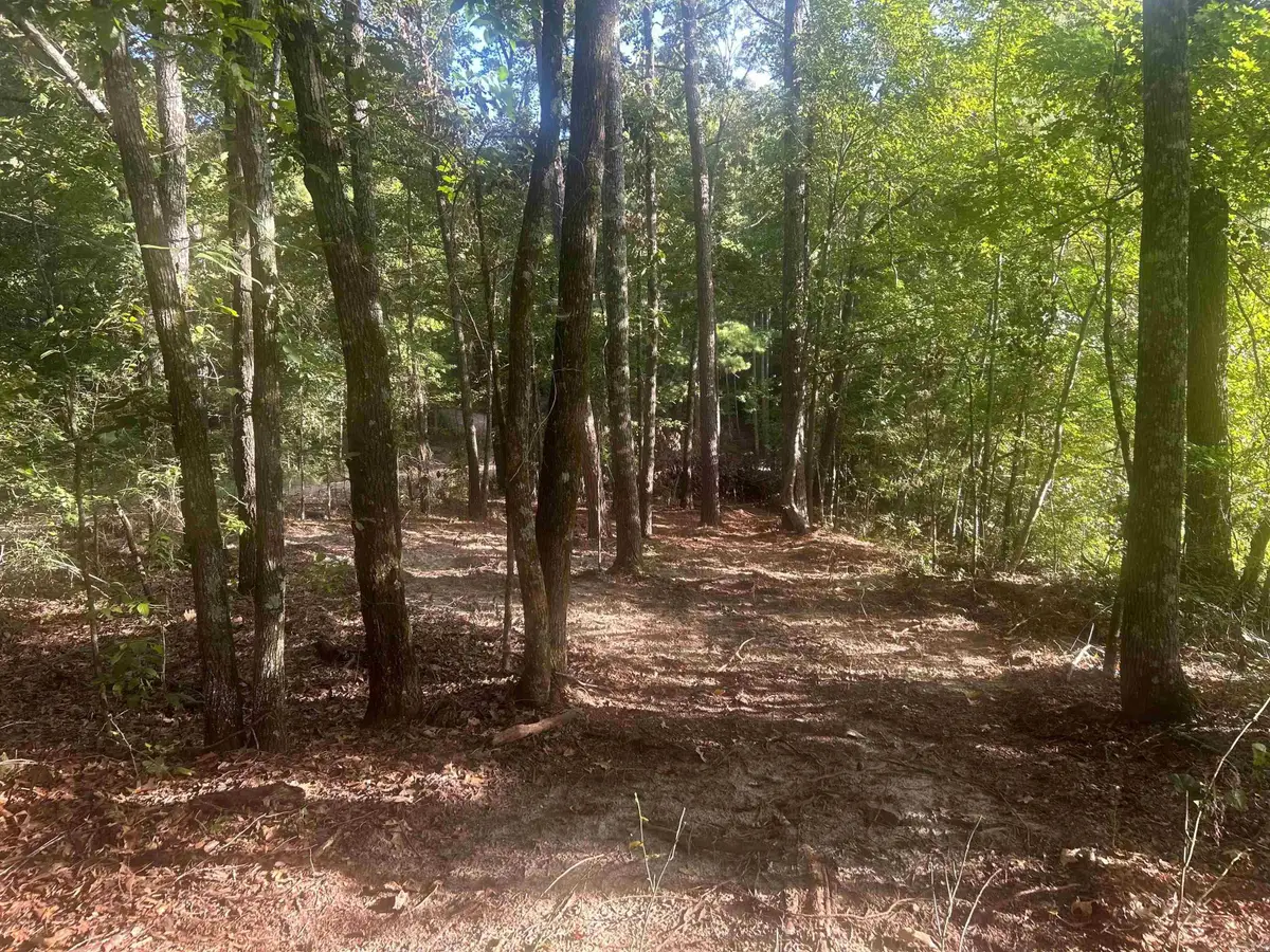TBD Camden Lane, Amity, AR 71921 - #1