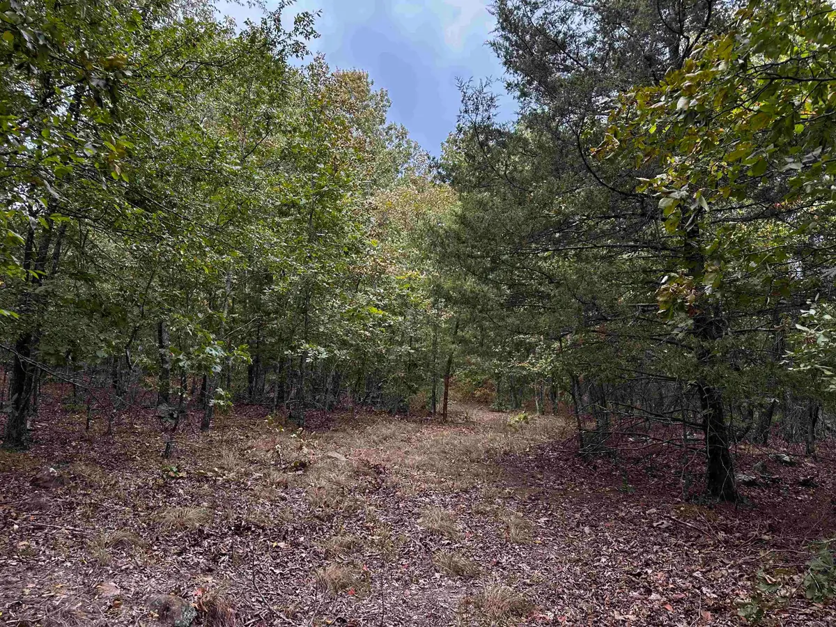000 S 5 Highway, Mountain View, AR 72560 - #1