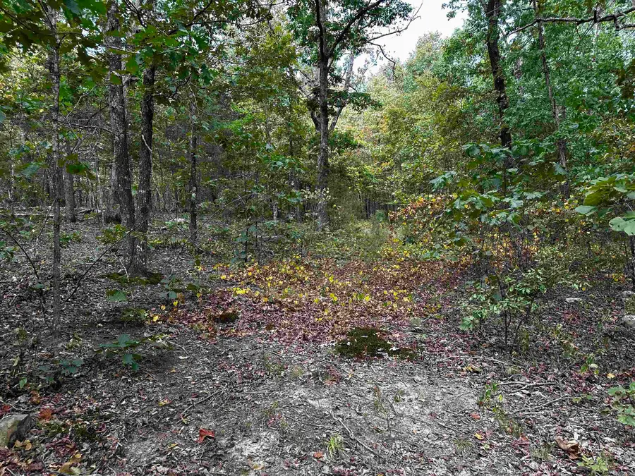 000 S 5 Highway, Mountain View, AR 72560 - #2