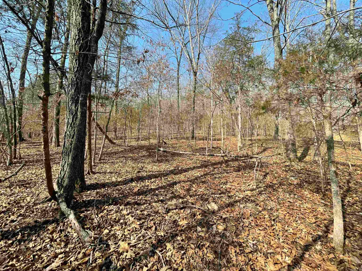 0000 Peace Mountain Road, Mountain View, AR 72560 - #1