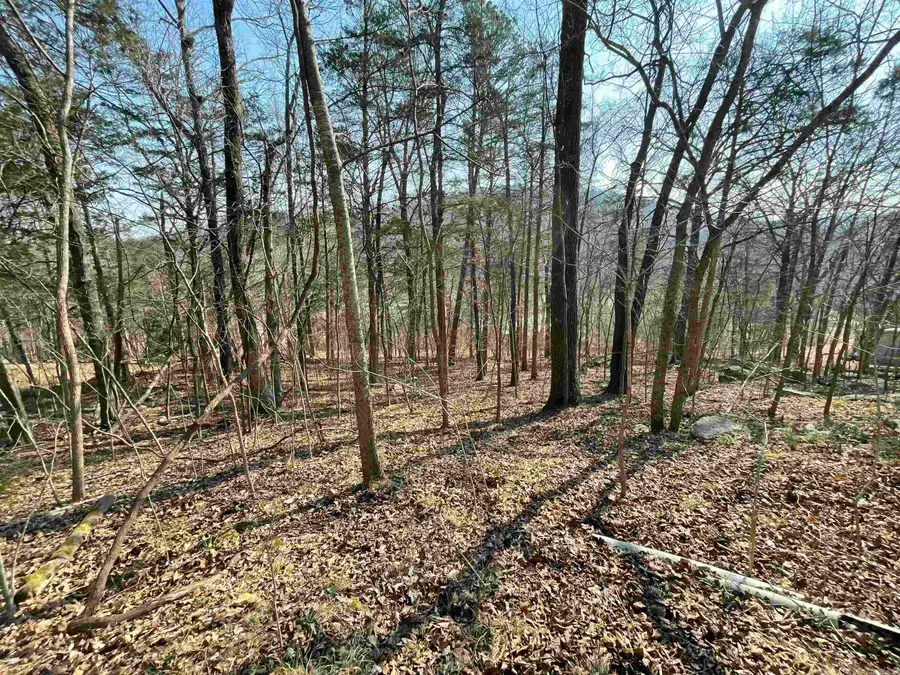 0000 Peace Mountain Road, Mountain View, AR 72560 - #3