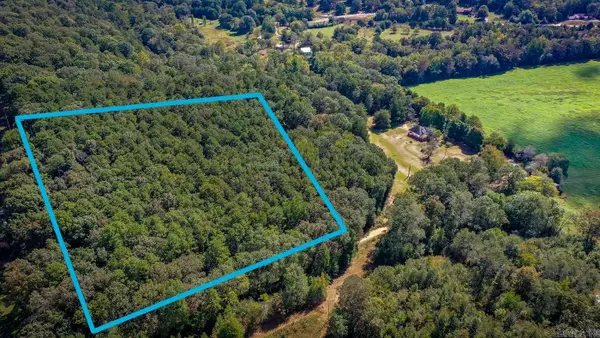 Tbd Polk Road 165, Potter, AR 71953