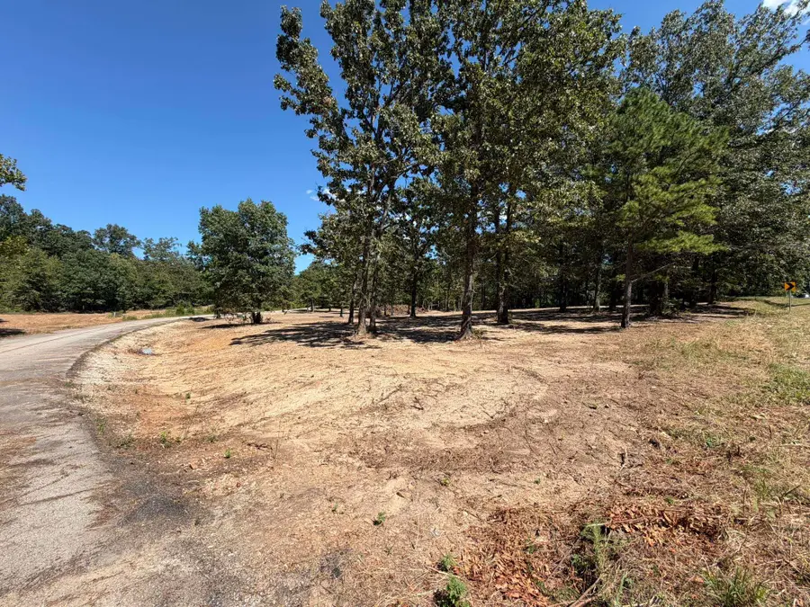 15 Colton Road, Calico Rock, AR 72519 - #3