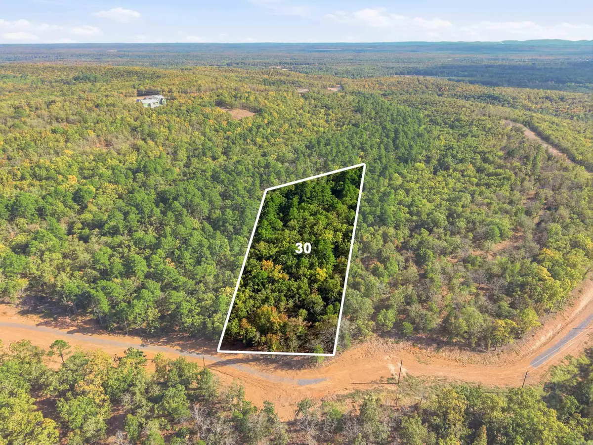 21 Sierra Sunset Cove, Conway, AR 72032 - #1