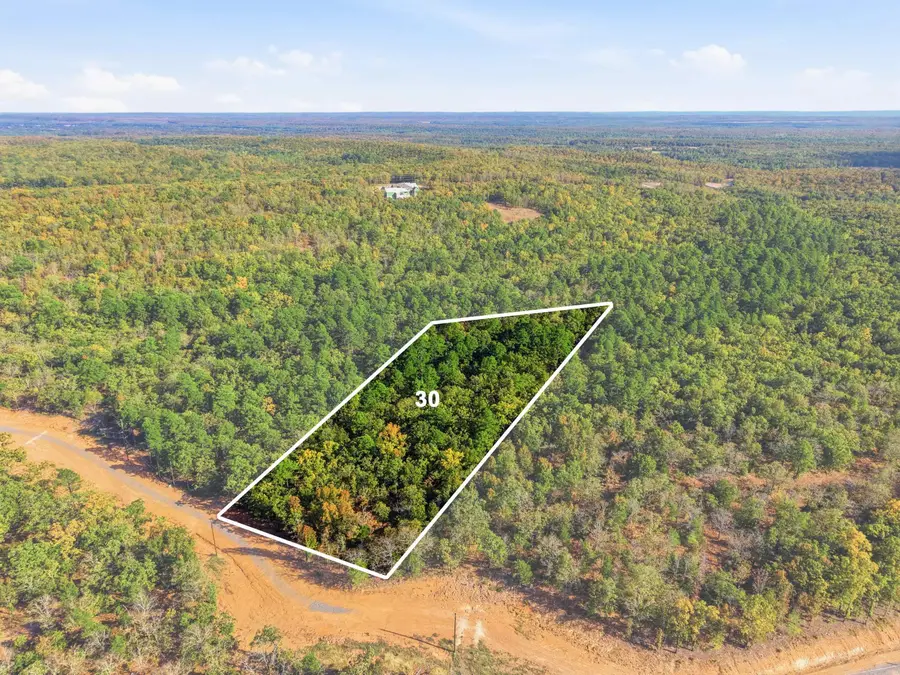 21 Sierra Sunset Cove, Conway, AR 72032 - #3