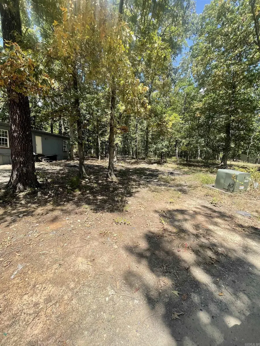 1001 N Eve Street, Mena, AR 71953 - #3