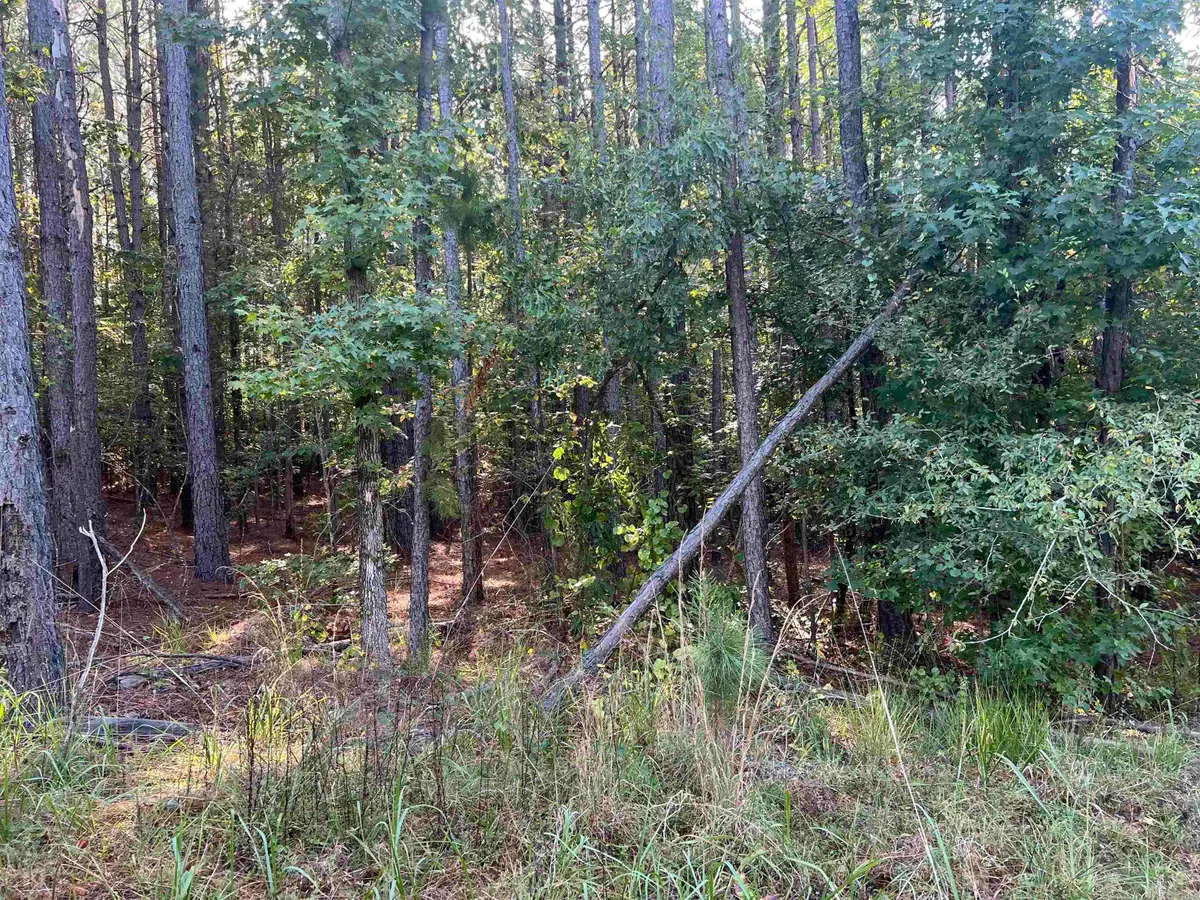 xx 1 & 2 Rosboro Loop, Amity, AR 71921 - #1
