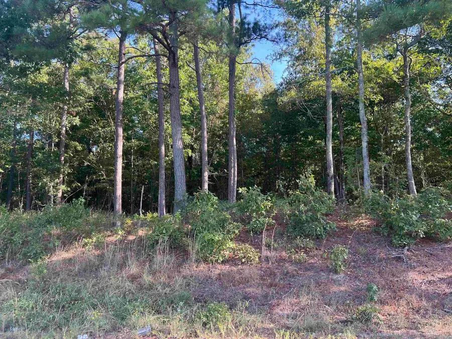 Address Withheld By Seller, Amity, AR 71921 - #2