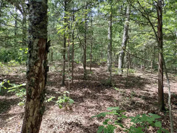 00 Hwy 9, Mountain View, AR 72560