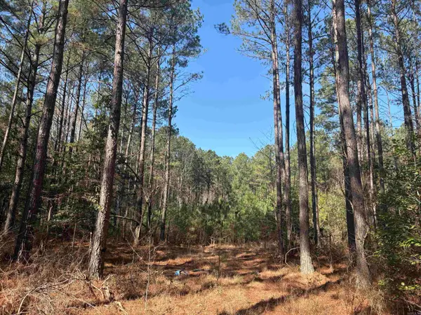 0 Hwy 46 N, Sheridan, AR 72150