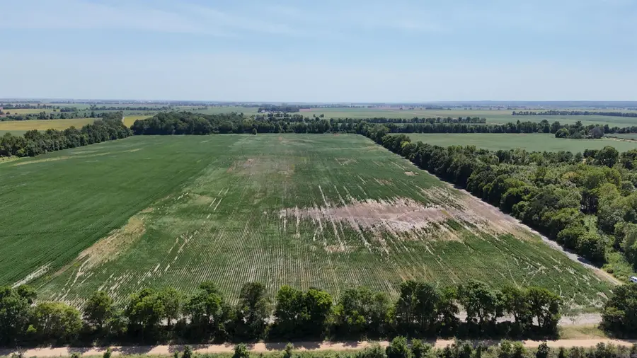 23666 Mickey Rd, Trumann, AR 72472 - #2