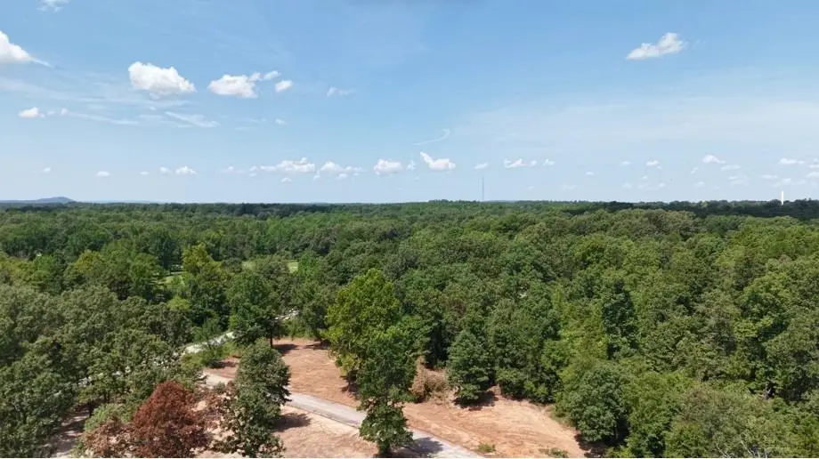 14 Colton Road, Calico Rock, AR 72519 - #1