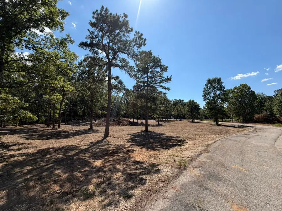 14 Colton Road, Calico Rock, AR 72519 - #3