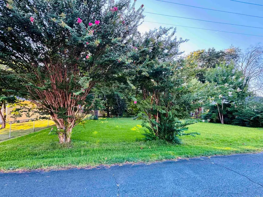 2005 Cleveland Avenue, Conway, AR 72032 - #2