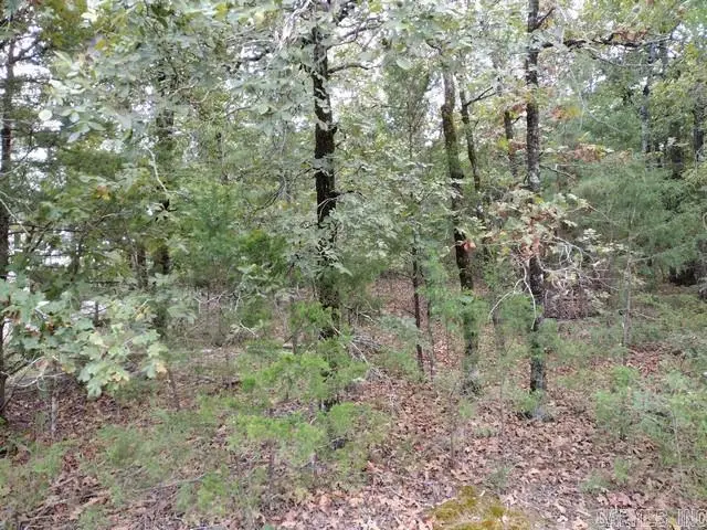 14 Soldado Lane, Hot Springs Village, AR 71909 - #2