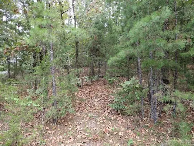 14 Soldado Lane, Hot Springs Village, AR 71909 - #3