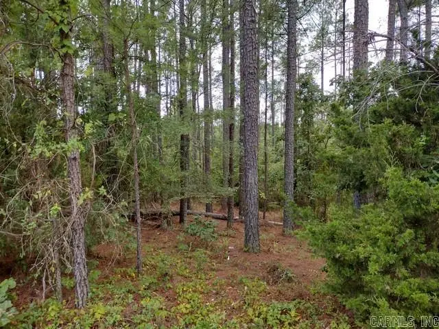 17 Victoria Lane, Hot Springs Village, AR 71909 - #2