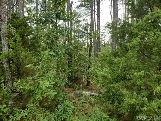 17 Victoria Lane, Hot Springs Village, AR 71909 - #3