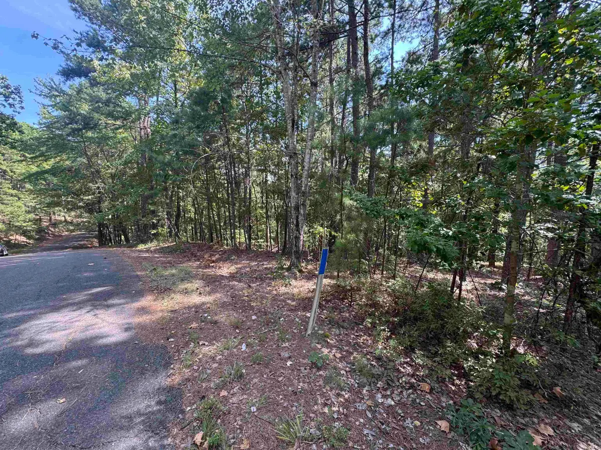 84 Gerante Way, Hot Springs Village, AR 71909 - #1